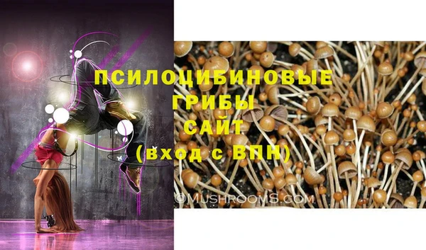 амф Балахна