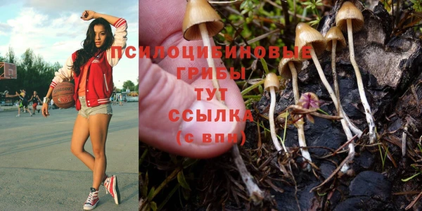 амф Балахна