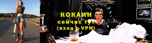 прущие грибы Баксан