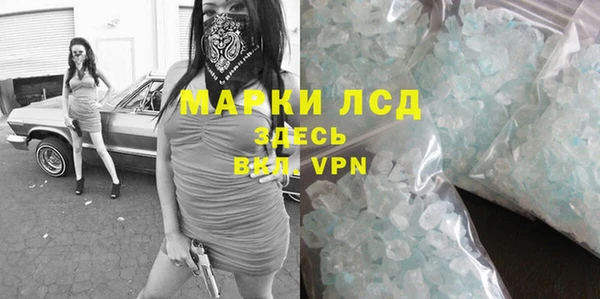 прущие грибы Баксан
