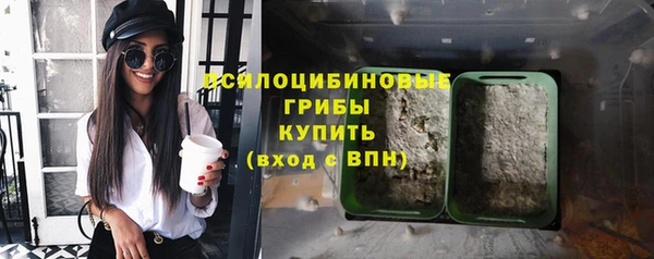 прущие грибы Баксан
