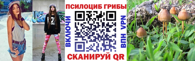 OMG как войти  Казань  Галлюциногенные грибы MAGIC MUSHROOMS 